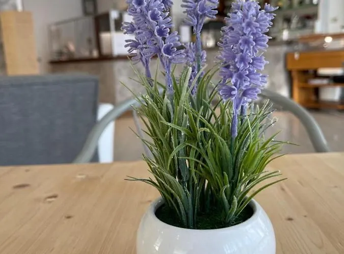 Franca 3* Misano Adriatico