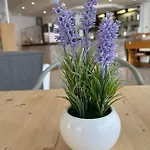 Franca 3* 미사노아드리아티코